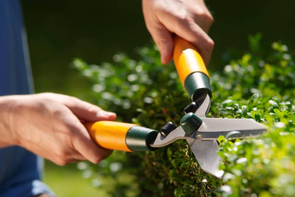 Outillage de jardin