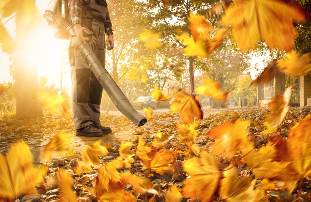 Souffleur de feuilles