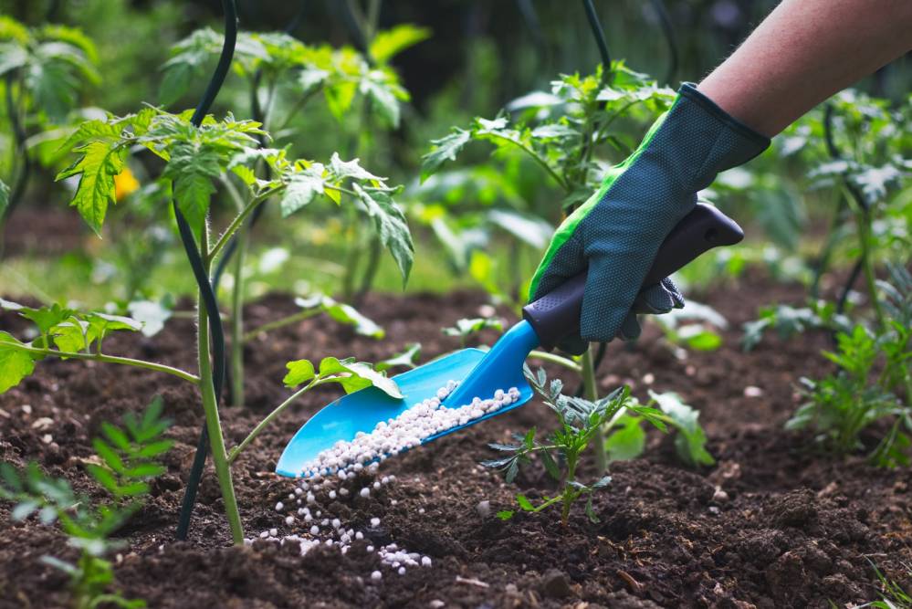 Produits de traitement de jardin