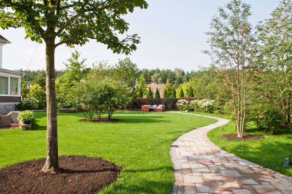 jardin